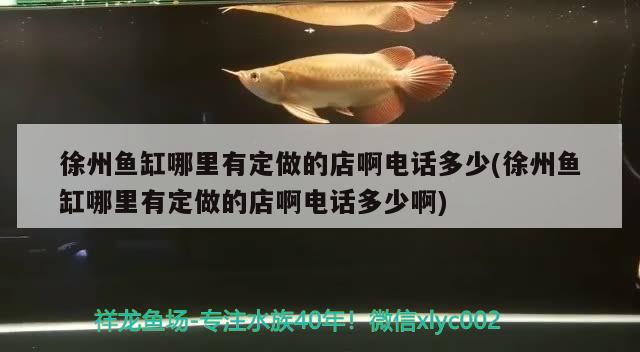 徐州魚缸哪里有定做的店啊電話多少(徐州魚缸哪里有定做的店啊電話多少啊) PH調(diào)節(jié)劑