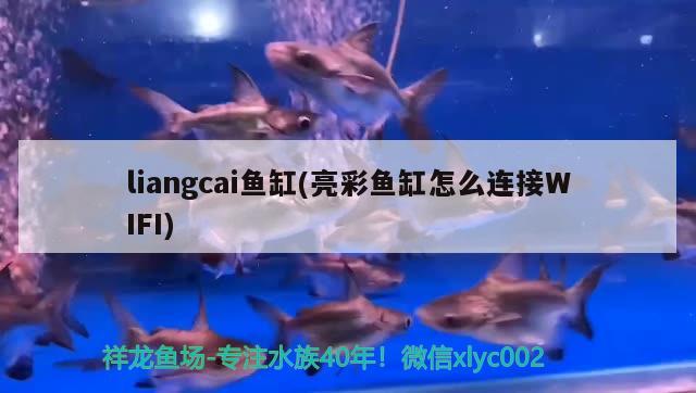 liangcai魚缸(亮彩魚缸怎么連接WIFI) 其他品牌魚缸