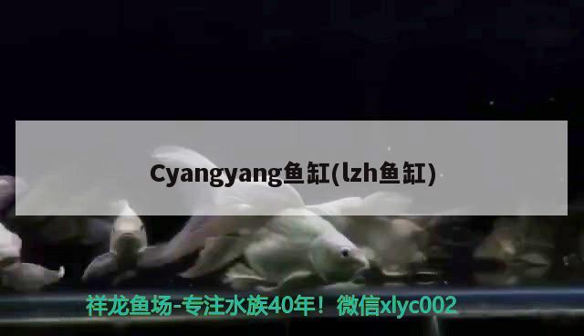 Cyangyang魚(yú)缸(lzh魚(yú)缸) 其他品牌魚(yú)缸