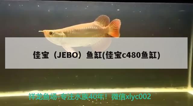 佳寶（JEBO）魚缸(佳寶c480魚缸)