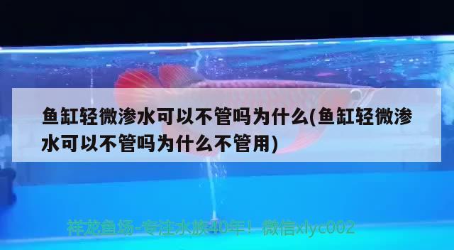 魚缸輕微滲水可以不管嗎為什么(魚缸輕微滲水可以不管嗎為什么不管用)