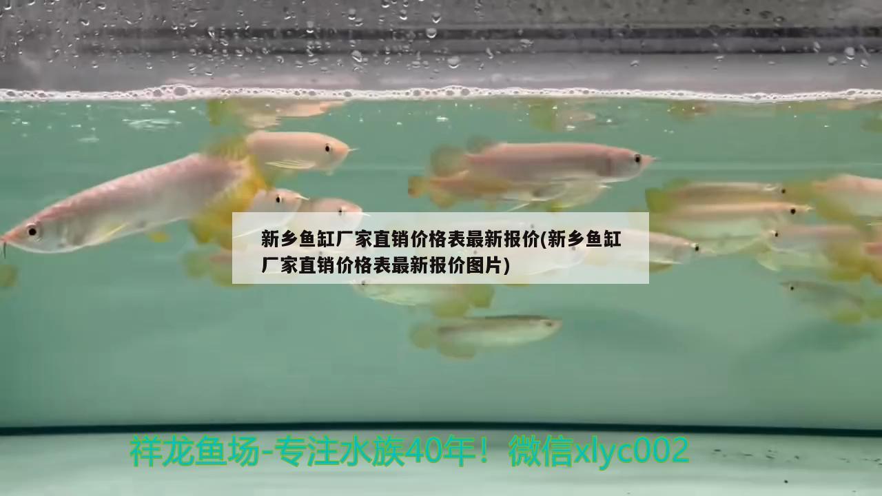 新鄉(xiāng)魚缸廠家直銷價(jià)格表最新報(bào)價(jià)(新鄉(xiāng)魚缸廠家直銷價(jià)格表最新報(bào)價(jià)圖片) 魚缸等水族設(shè)備 第2張