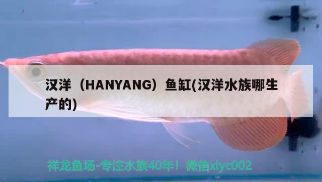 漢洋（HANYANG）魚缸(漢洋水族哪生產(chǎn)的) 其他品牌魚缸