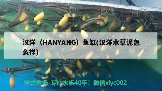 漢洋（HANYANG）魚缸(漢洋水草泥怎么樣) 水草