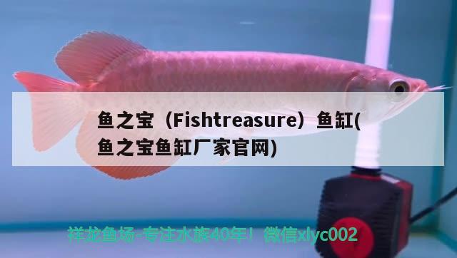 魚之寶（Fishtreasure）魚缸(魚之寶魚缸廠家官網(wǎng))