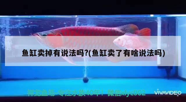 魚(yú)缸賣(mài)掉有說(shuō)法嗎?(魚(yú)缸賣(mài)了有啥說(shuō)法嗎)