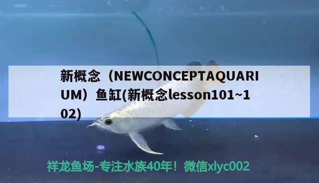 新概念（NEWCONCEPTAQUARIUM）魚缸(新概念lesson101～102)