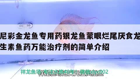 得尼彩金龍魚專用藥銀龍魚蒙眼爛尾厭食龍魚維生素魚藥萬能治療劑的簡單介紹