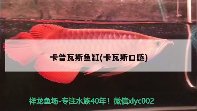 卡普瓦斯魚缸(卡瓦斯口感)