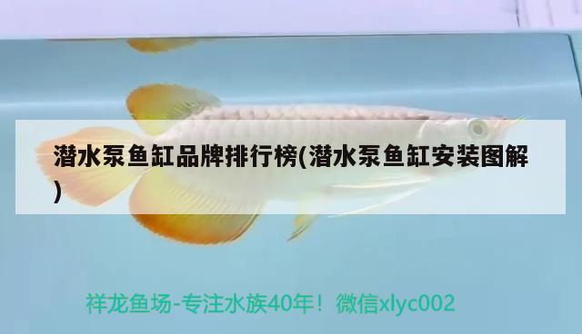 潛水泵魚缸品牌排行榜(潛水泵魚缸安裝圖解) 蝴蝶鯉魚苗