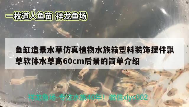 魚缸造景水草仿真植物水族箱塑料裝飾擺件飄草軟體水草高60cm后景的簡單介紹 魚缸/水族箱