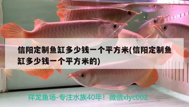 信陽定制魚缸多少錢一個平方米(信陽定制魚缸多少錢一個平方米的)