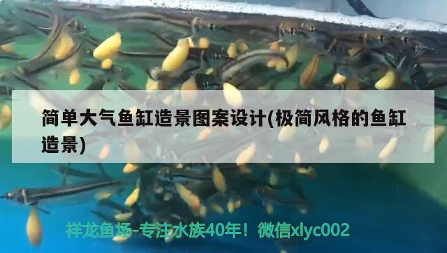 簡單大氣魚缸造景圖案設計(極簡風格的魚缸造景)