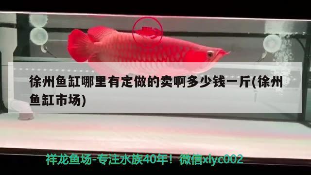 徐州魚缸哪里有定做的賣啊多少錢一斤(徐州魚缸市場) 泰龐海鰱魚