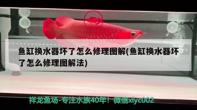 魚缸換水器壞了怎么修理圖解(魚缸換水器壞了怎么修理圖解法) 祥龍水族醫(yī)院