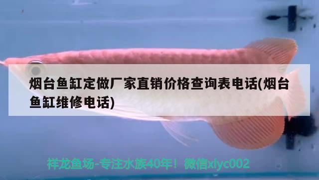 煙臺魚缸定做廠家直銷價格查詢表電話(煙臺魚缸維修電話) 水族用品