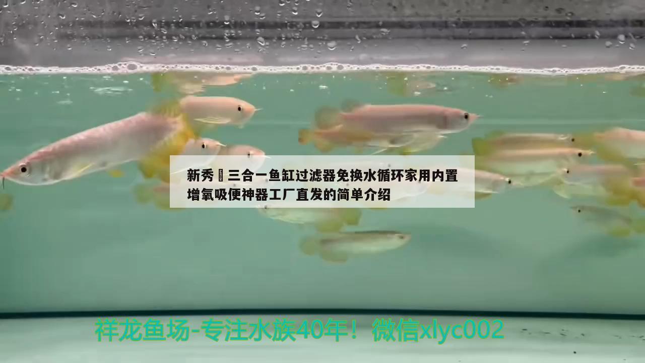 新秀?三合一魚缸過濾器免換水循環(huán)家用內(nèi)置增氧吸便神器工廠直發(fā)的簡單介紹 祥龍魚場其他產(chǎn)品