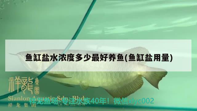 魚缸鹽水濃度多少最好養(yǎng)魚(魚缸鹽用量) 蘇虎苗（蘇門答臘虎魚苗）