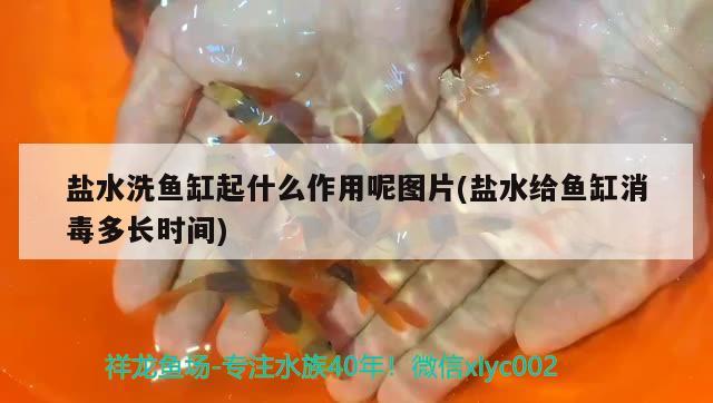 鹽水洗魚缸起什么作用呢圖片(鹽水給魚缸消毒多長時(shí)間)