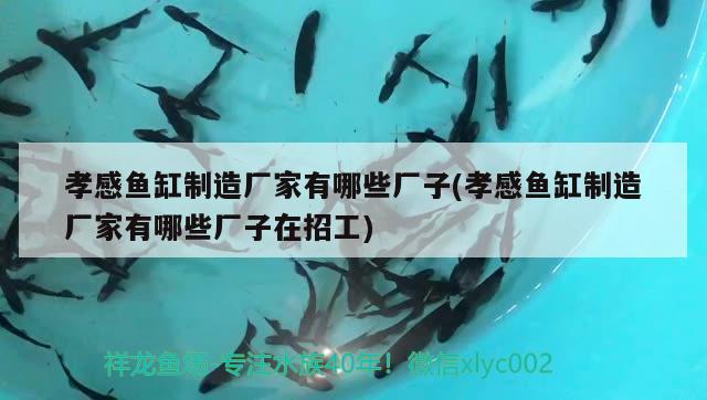 孝感魚缸制造廠家有哪些廠子(孝感魚缸制造廠家有哪些廠子在招工) 2024第28屆中國國際寵物水族展覽會CIPS（長城寵物展2024 CIPS）