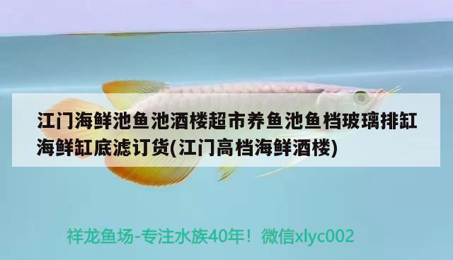 江門海鮮池魚池酒樓超市養(yǎng)魚池魚檔玻璃排缸海鮮缸底濾訂貨(江門高檔海鮮酒樓)