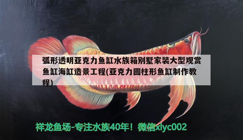 弧形透明亞克力魚(yú)缸水族箱別墅家裝大型觀賞魚(yú)缸海缸造景工程(亞克力圓柱形魚(yú)缸制作教程) 魚(yú)缸/水族箱