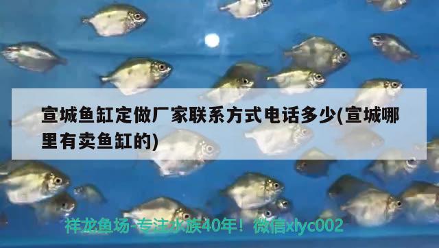 宣城魚缸定做廠家聯(lián)系方式電話多少(宣城哪里有賣魚缸的)