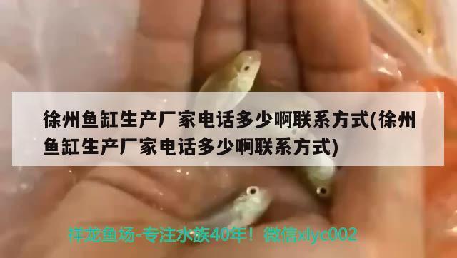 徐州魚缸生產(chǎn)廠家電話多少啊聯(lián)系方式(徐州魚缸生產(chǎn)廠家電話多少啊聯(lián)系方式)