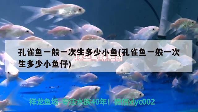 孔雀魚(yú)一般一次生多少小魚(yú)(孔雀魚(yú)一般一次生多少小魚(yú)仔)