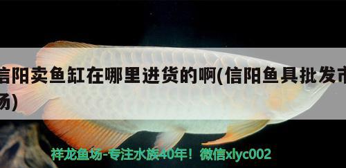 信陽(yáng)賣(mài)魚(yú)缸在哪里進(jìn)貨的啊(信陽(yáng)魚(yú)具批發(fā)市場(chǎng))