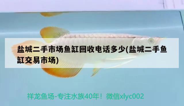 鹽城二手市場(chǎng)魚缸回收電話多少(鹽城二手魚缸交易市場(chǎng)) 羅漢魚批發(fā)