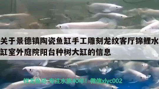 關(guān)于景德鎮(zhèn)陶瓷魚缸手工雕刻龍紋客廳錦鯉水缸室外庭院陽臺種樹大缸的信息 潛水泵