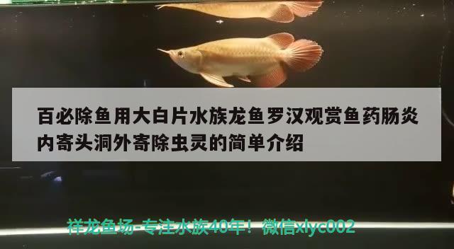 百必除魚用大白片水族龍魚羅漢觀賞魚藥腸炎內(nèi)寄頭洞外寄除蟲靈的簡單介紹 野彩魚