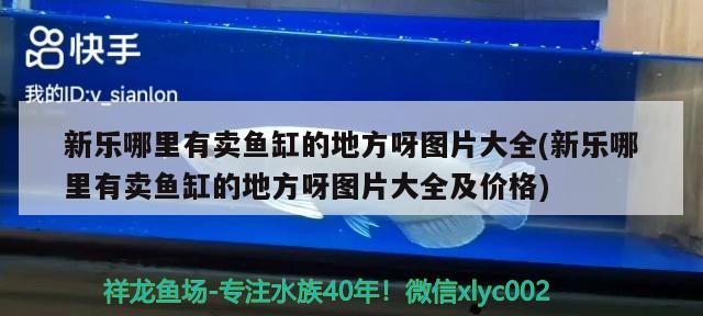 新樂(lè)哪里有賣(mài)魚(yú)缸的地方呀圖片大全(新樂(lè)哪里有賣(mài)魚(yú)缸的地方呀圖片大全及價(jià)格)