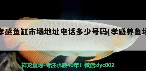 孝感魚(yú)缸市場(chǎng)地址電話多少號(hào)碼(孝感養(yǎng)魚(yú)場(chǎng))