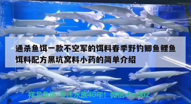 通殺魚餌一款不空軍的餌料春季野釣鯽魚鯉魚餌料配方黑坑窩料小藥的簡單介紹 垂釣樂園 第3張