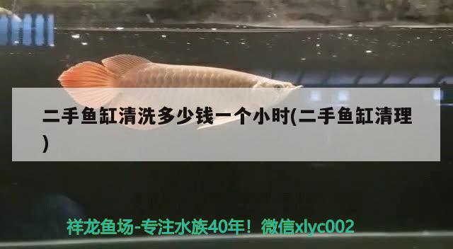 二手魚缸清洗多少錢一個小時(二手魚缸清理) 海象魚 第3張