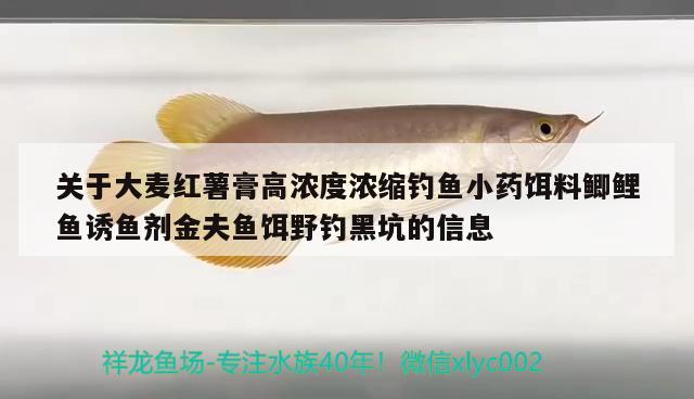 關(guān)于大麥紅薯膏高濃度濃縮釣魚小藥餌料鯽鯉魚誘魚劑金夫魚餌野釣黑坑的信息 垂釣樂園