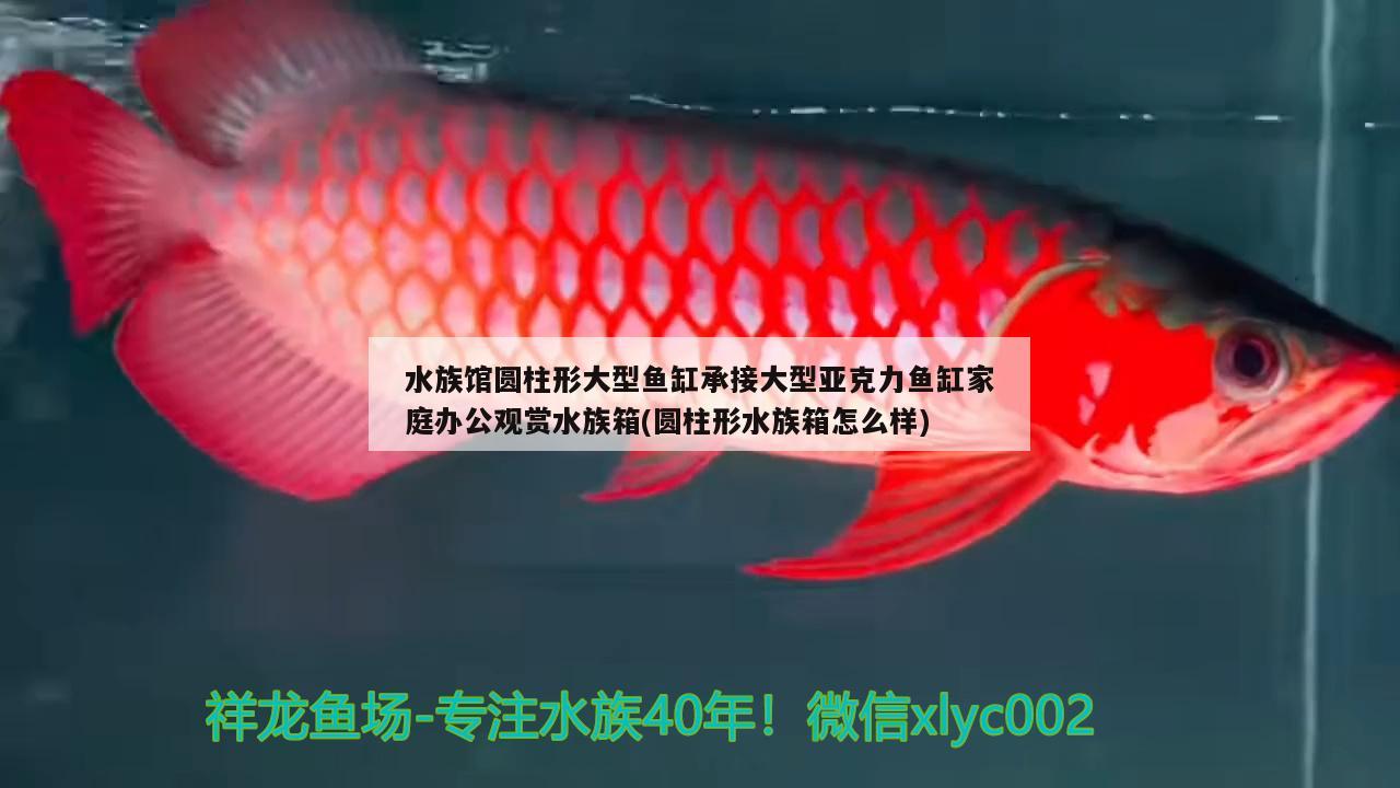 水族館圓柱形大型魚缸承接大型亞克力魚缸家庭辦公觀賞水族箱(圓柱形水族箱怎么樣) 魚缸/水族箱 第4張