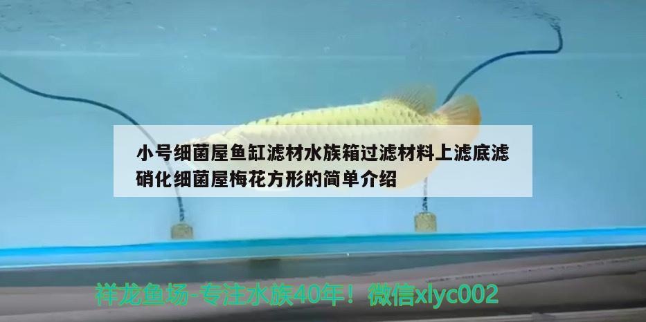 小號細(xì)菌屋魚缸濾材水族箱過濾材料上濾底濾硝化細(xì)菌屋梅花方形的簡單介紹 硝化細(xì)菌