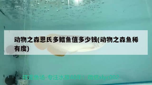 動物之森恩氏多鰭魚值多少錢(動物之森魚稀有度)