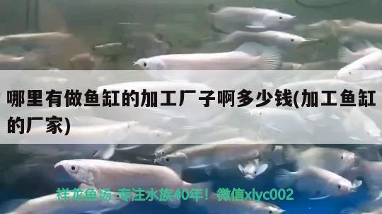 哪里有做魚缸的加工廠子啊多少錢(加工魚缸的廠家)