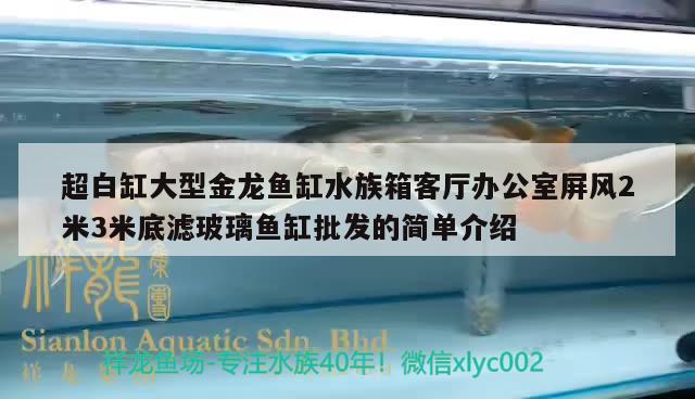 超白缸大型金龍魚缸水族箱客廳辦公室屏風(fēng)2米3米底濾玻璃魚缸批發(fā)的簡(jiǎn)單介紹 魚缸/水族箱