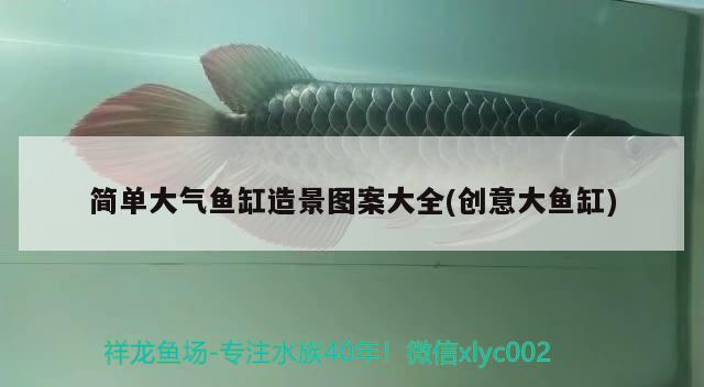 簡單大氣魚缸造景圖案大全(創(chuàng)意大魚缸) 眼斑魚