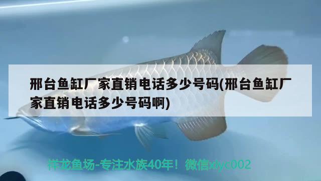 邢臺魚缸廠家直銷電話多少號碼(邢臺魚缸廠家直銷電話多少號碼啊) 元寶鳳凰魚百科