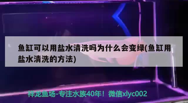 魚缸可以用鹽水清洗嗎為什么會變綠(魚缸用鹽水清洗的方法) 金龍魚糧