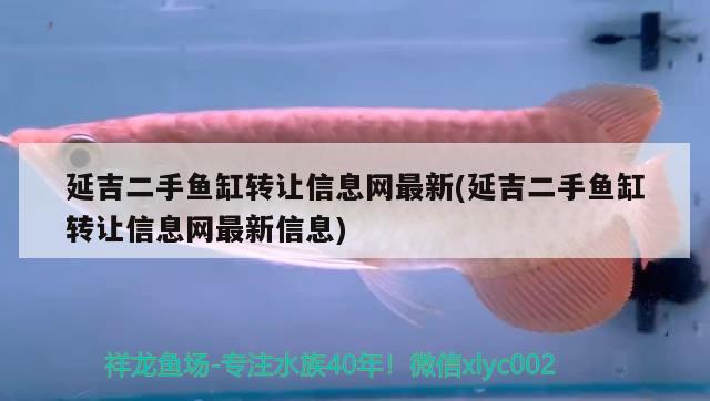 延吉二手魚缸轉讓信息網最新(延吉二手魚缸轉讓信息網最新信息)