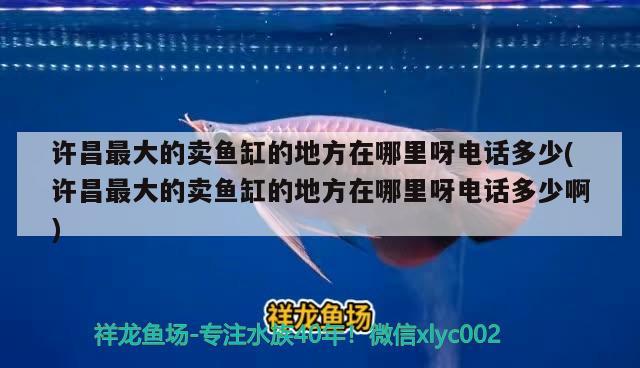 許昌最大的賣魚(yú)缸的地方在哪里呀電話多少(許昌最大的賣魚(yú)缸的地方在哪里呀電話多少啊) 沖氧泵