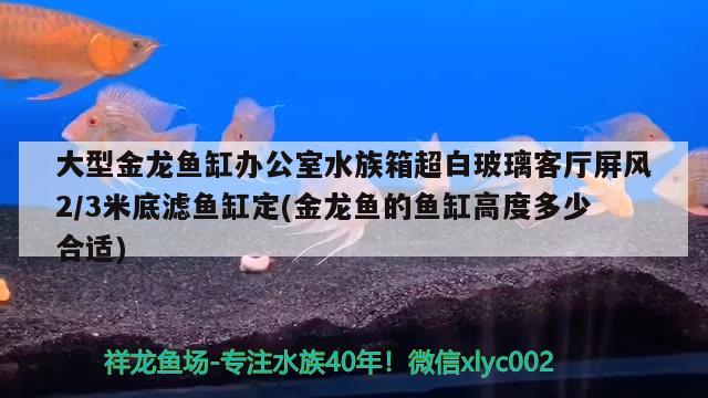 大型金龍魚缸辦公室水族箱超白玻璃客廳屏風(fēng)2/3米底濾魚缸定(金龍魚的魚缸高度多少合適) 魚缸/水族箱