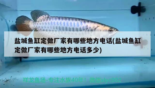 鹽城魚缸定做廠家有哪些地方電話(鹽城魚缸定做廠家有哪些地方電話多少) 魚缸凈水劑